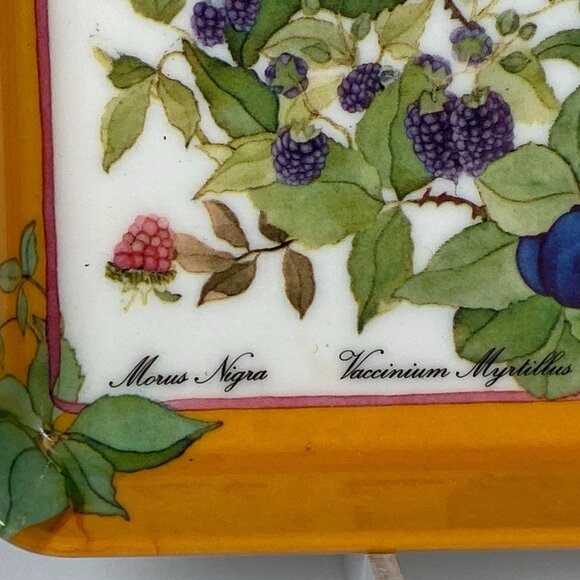 Set of 2 Mebel Melamine Botanical Floral Trays Snack Trinket Made in Italy - Picture 7 of 12